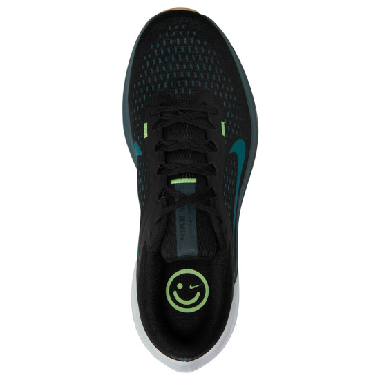 Nike Air Winflo 10
